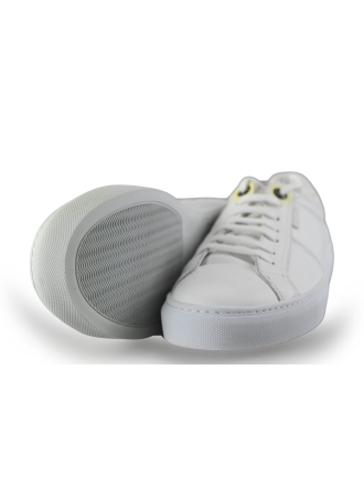 Manfield Sneaker