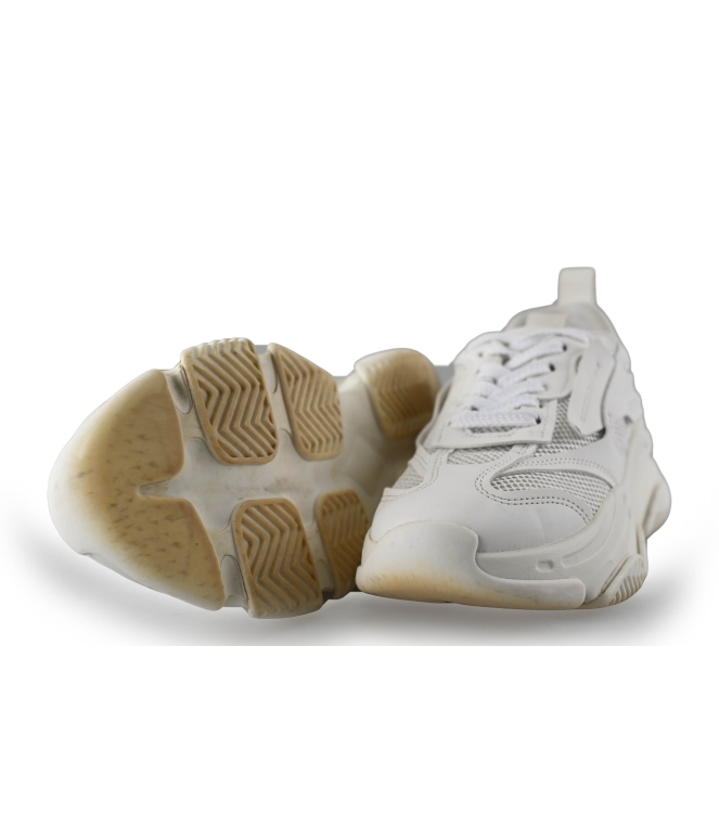 Steve Madden Sneaker