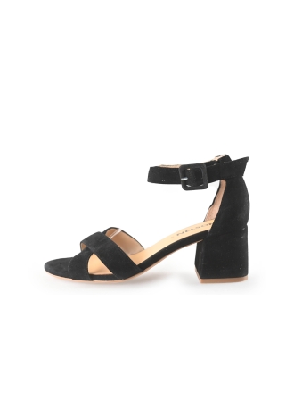 Nelson pumps