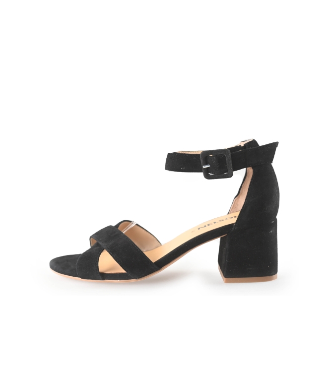 Nelson pumps