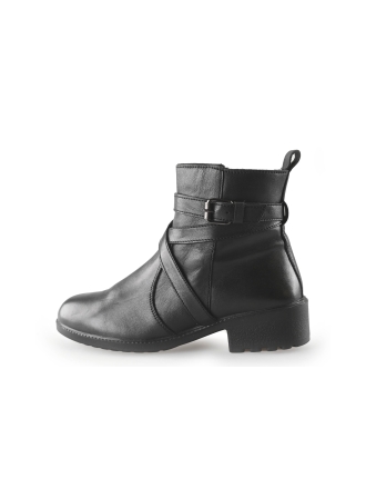 Nelson Stiefel