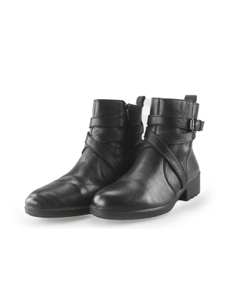 Nelson Stiefel