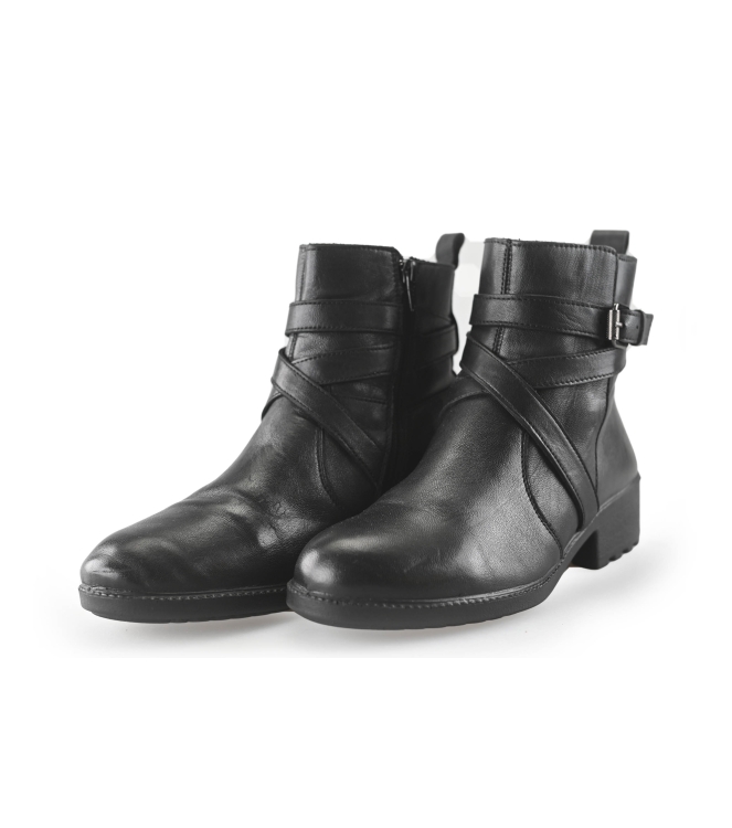 Nelson Stiefel