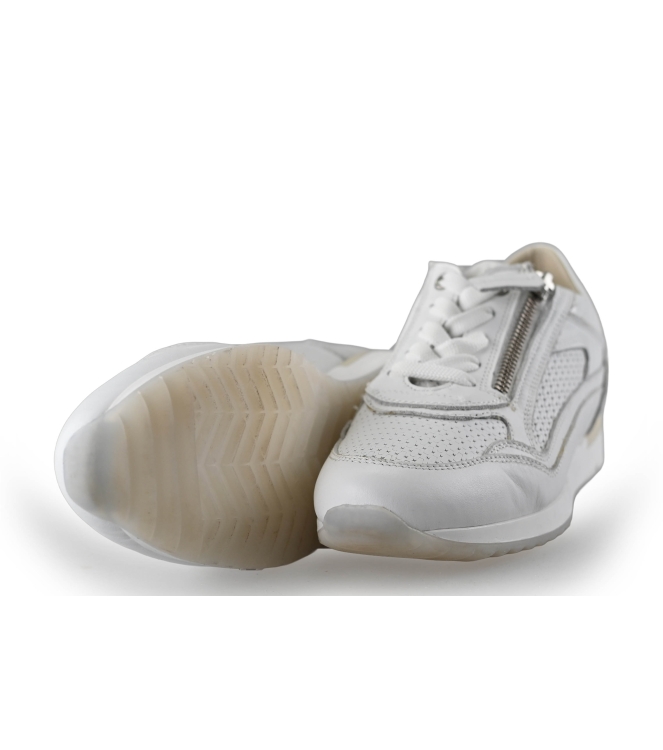 DL Sport Sneaker
