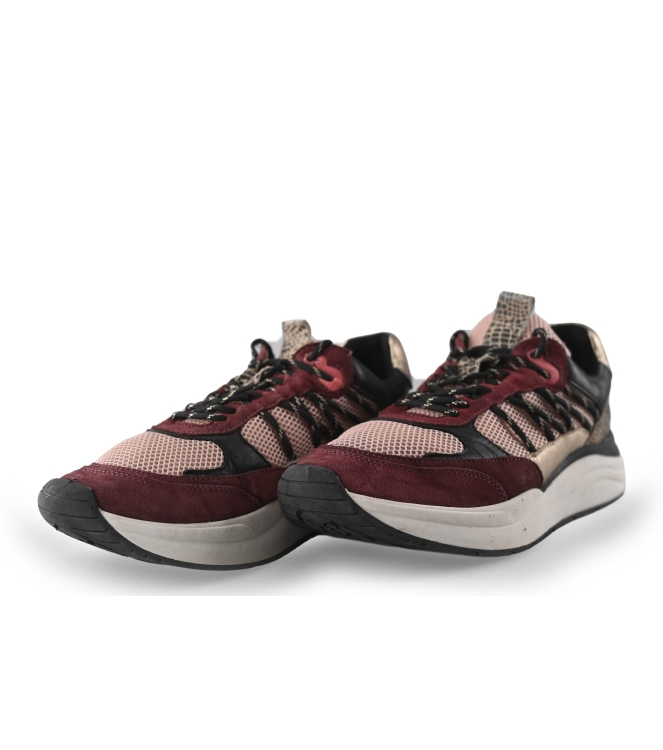 Sub55 Sneaker