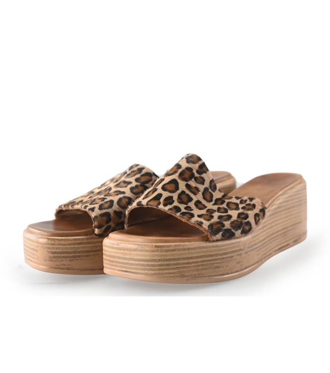 Notre-V Flip-Flops