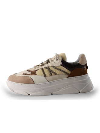 Nelson Sneaker Beige 262867