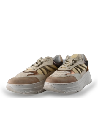 Nelson Sneaker Beige 262867