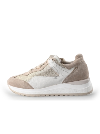 Haboob Sneaker