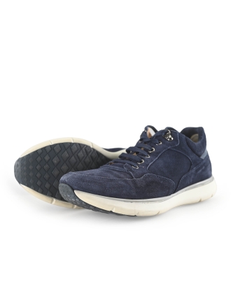 Greve Sneaker