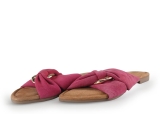 Lazamani Flip-Flops