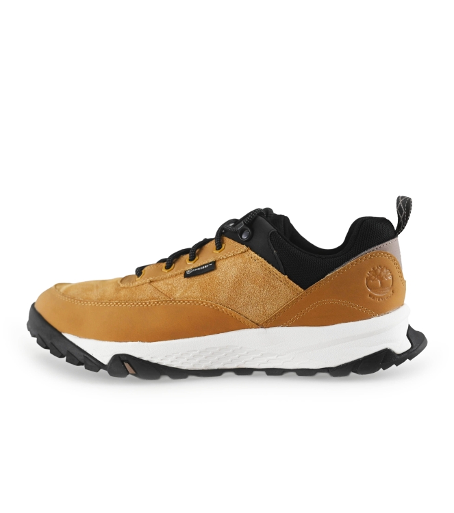 Timberland Sneaker