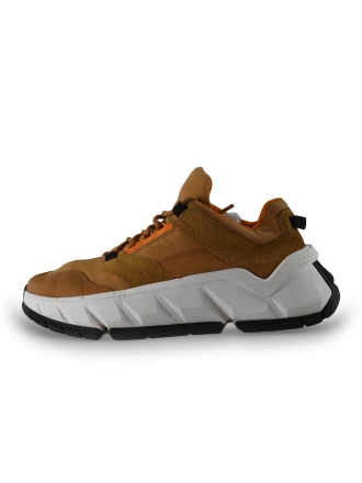 Timberland Sneaker Beige 271006