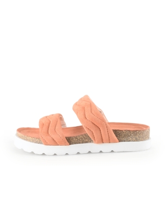 Sub55 Flip-Flops