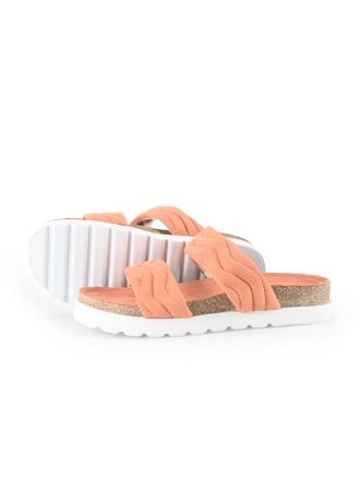 Sub55 Flip-Flops
