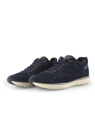 Greve Sneaker