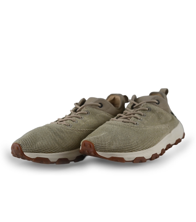 Timberland Sneaker