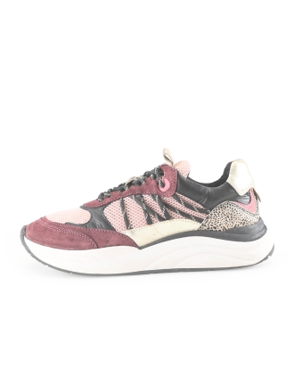 Poelman Sneaker Rot 272868