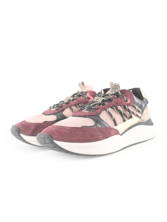 Poelman Sneaker Rot 272868