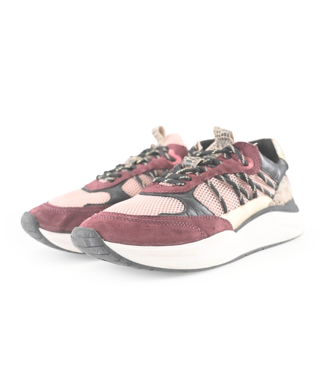 Poelman Sneaker