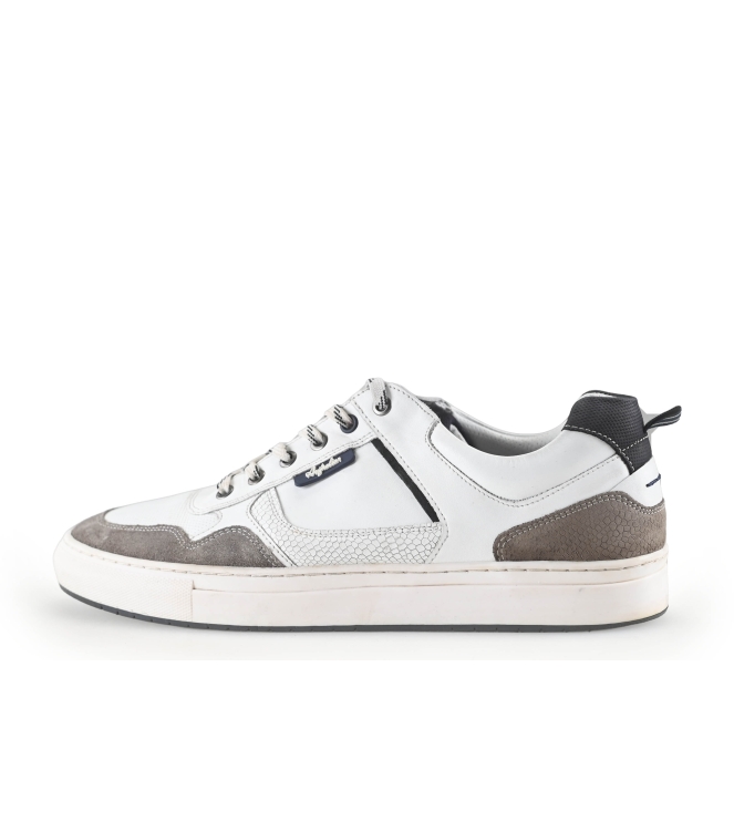Australian Sneaker