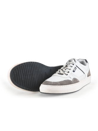 Australian Sneaker