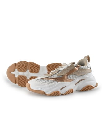 Steve Madden Sneaker
