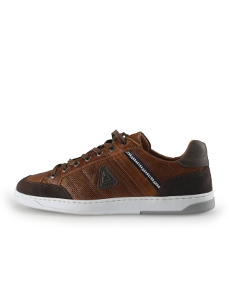 Gaastra Sneaker Cognac 274468
