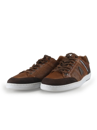 Gaastra Sneaker Cognac 274468