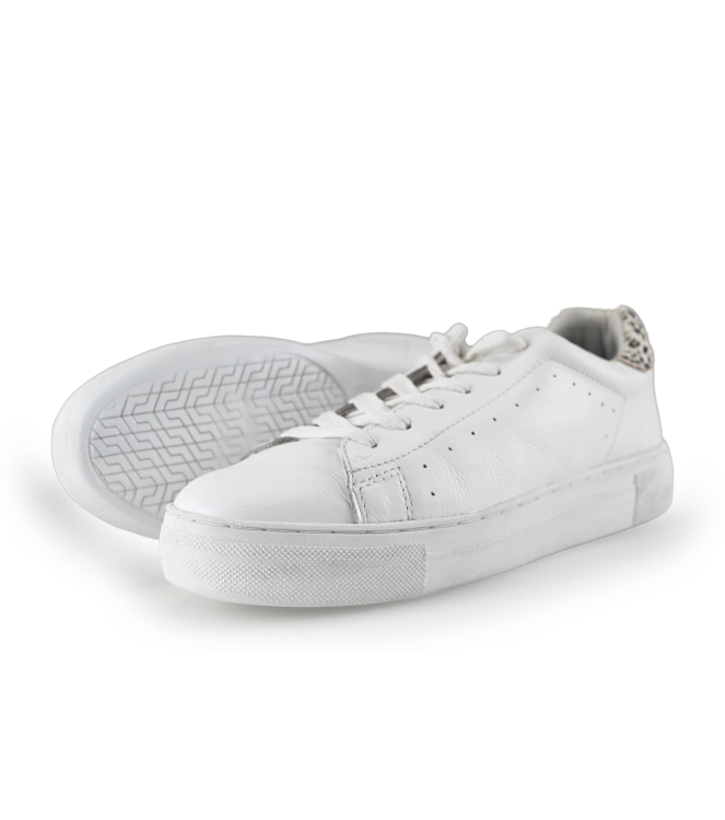 Poelman Sneaker
