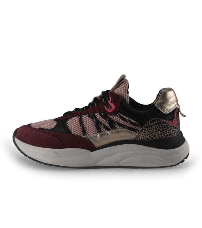 Loff 1881 Sneaker