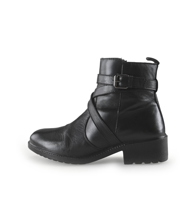 Nelson Stiefel