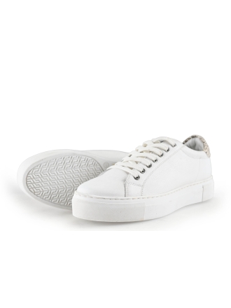 Maruti Sneaker