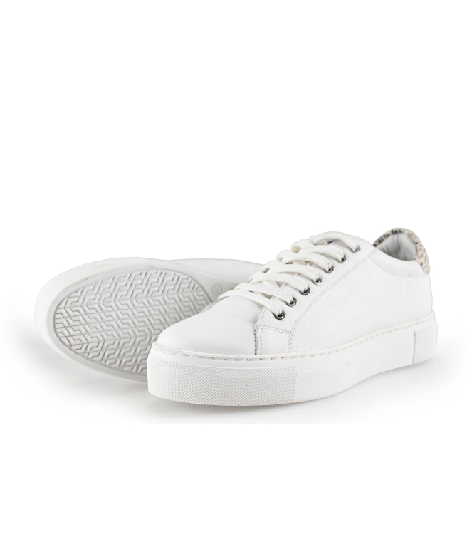 Maruti Sneaker