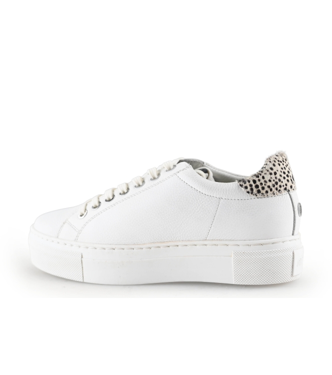 Maruti Sneaker