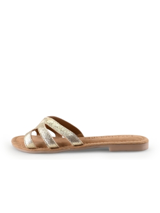 Lazamani Flip-Flops