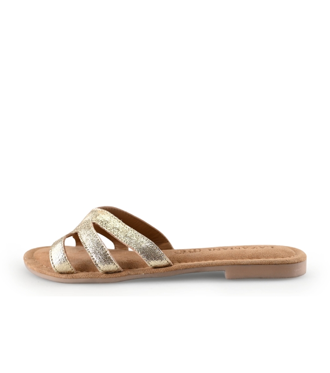 Lazamani Flip-Flops