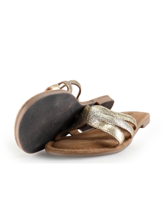 Lazamani Flip-Flops