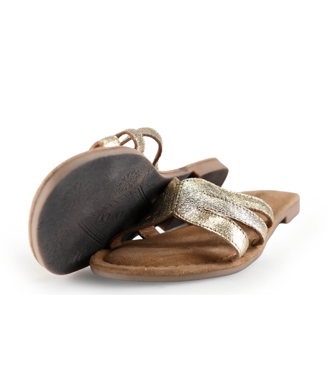 Lazamani Flip-Flops