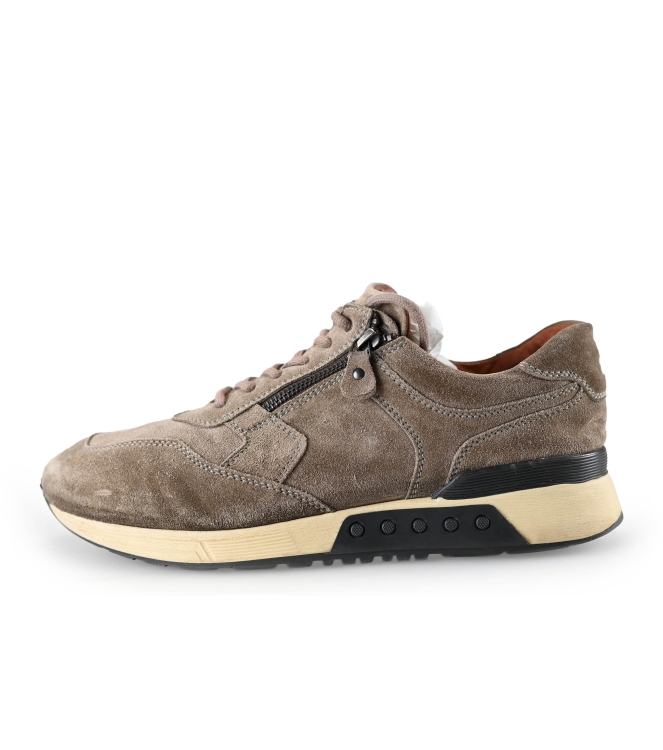 Greve Sneaker