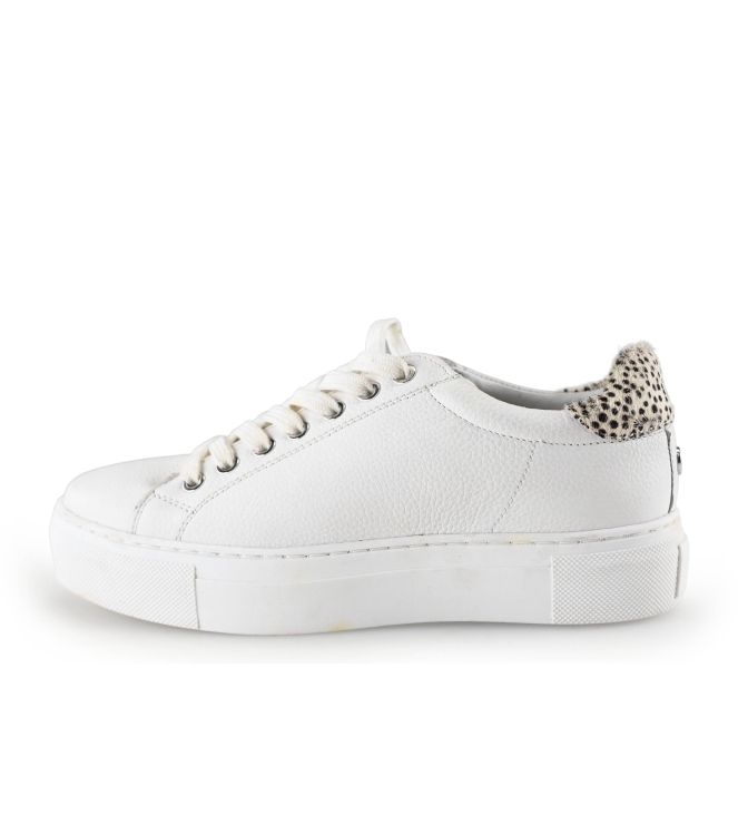 Maruti Sneaker