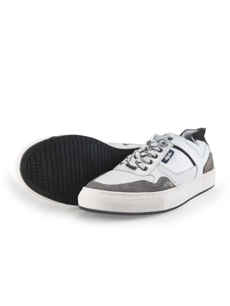 Australian Sneaker