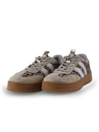 Blue Box Sneaker