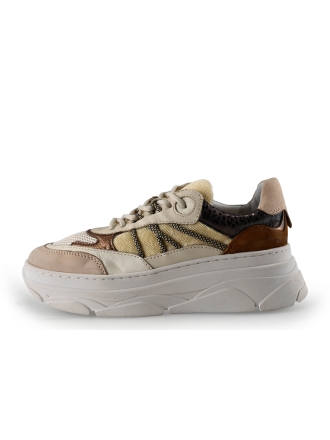 Nelson Sneaker Beige 276099