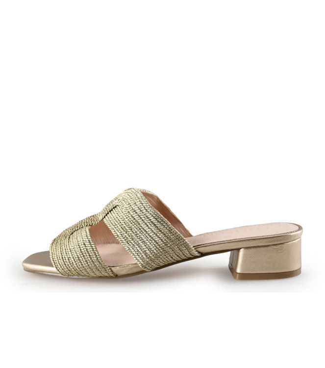 Nelson Flip-Flops