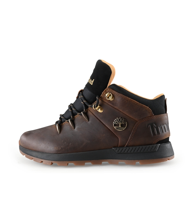 Timberland Sneaker