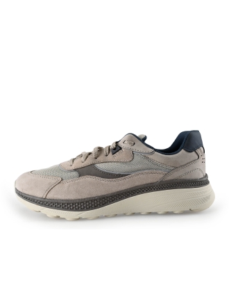 Geox Sneaker