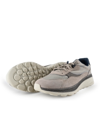 Geox Sneaker