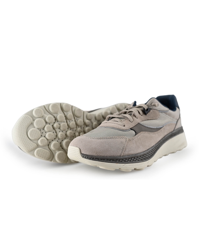 Geox Sneaker