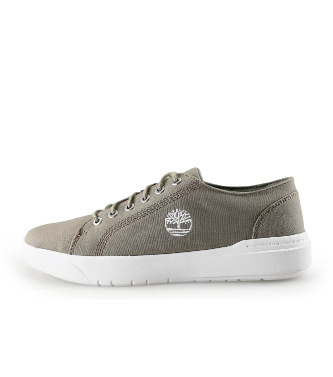 Timberland Sneaker